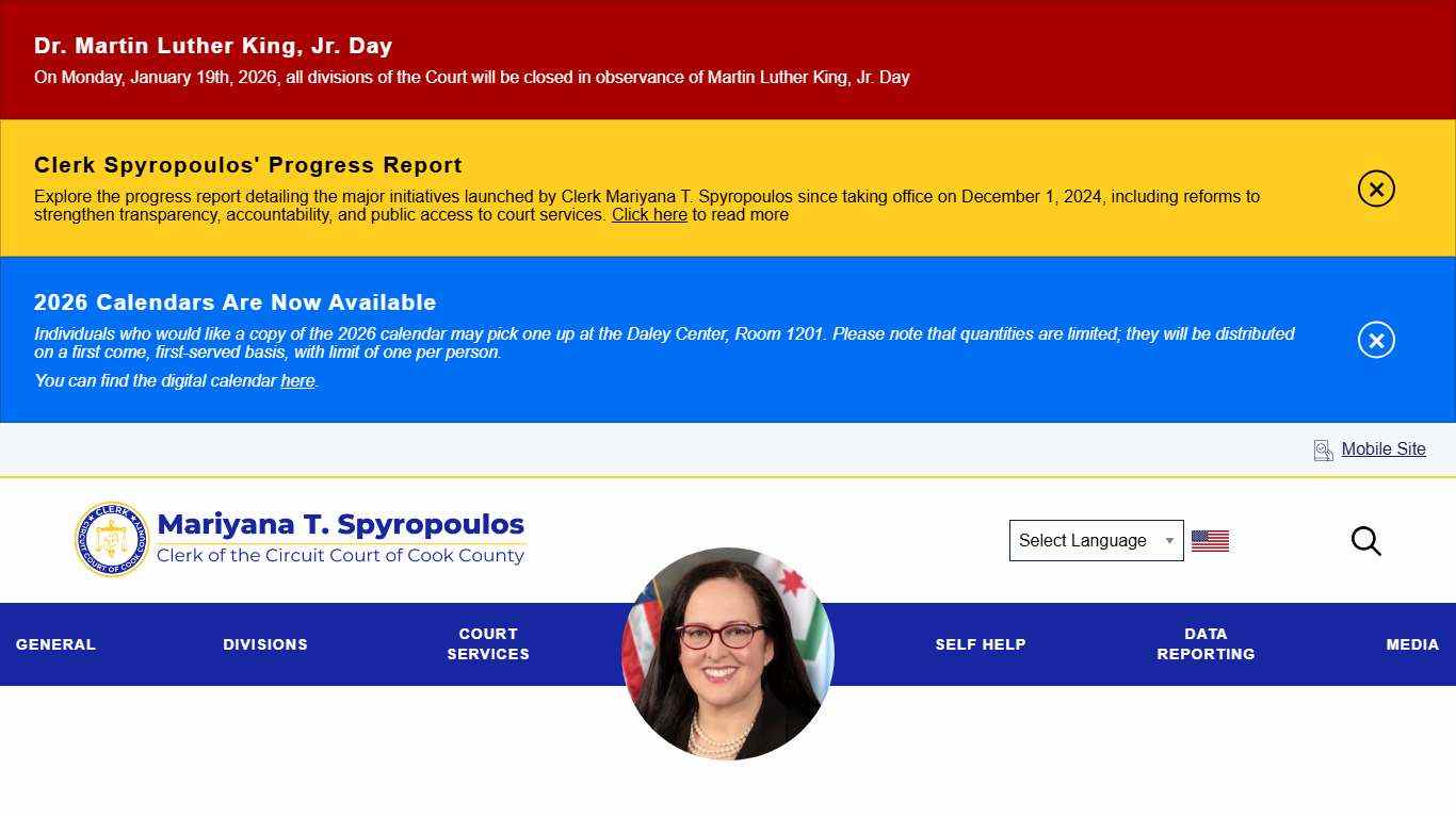 On-line Case Information | Clerk of the Circuit Court of Cook County